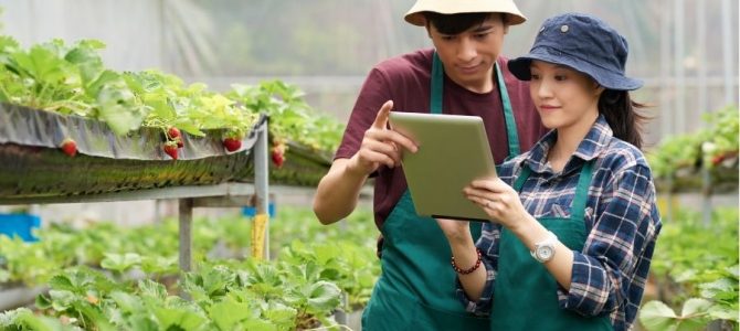 5 Prospek Kerja Terbaik di Sektor Agribisnis Indonesia